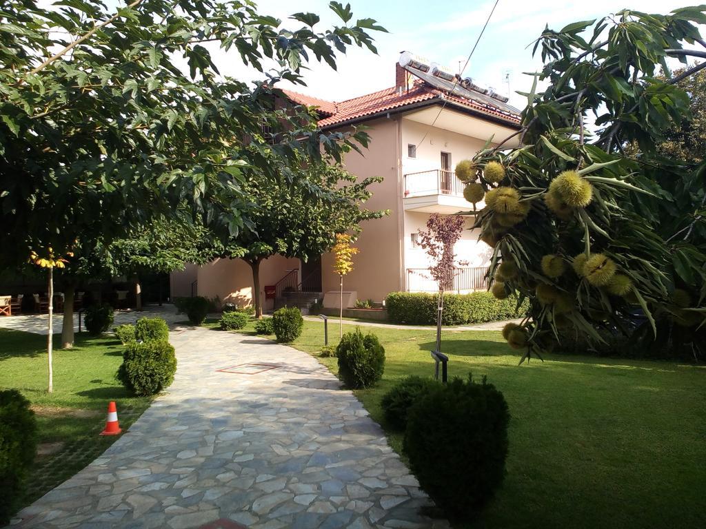 Alisachni Apartment Paralia Panteleimonos Exterior photo